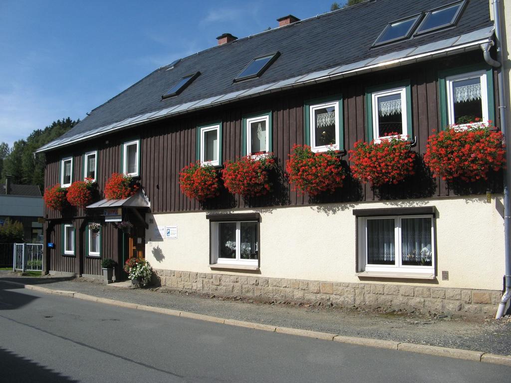 Ferienwohnung Wild Klingenthal Ngoại thất bức ảnh