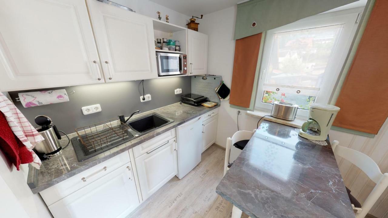 Ferienwohnung Wild Klingenthal Ngoại thất bức ảnh
